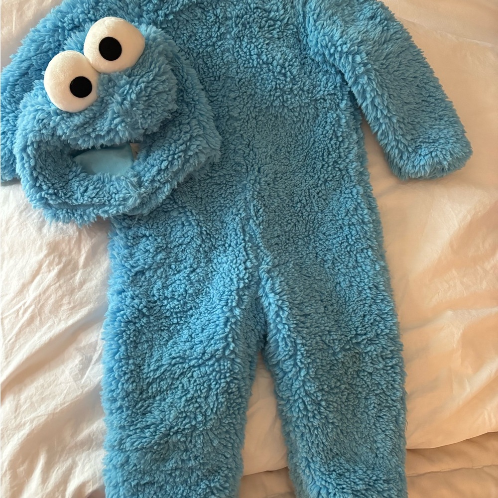 Pottery Barn Cookie Monster Costume